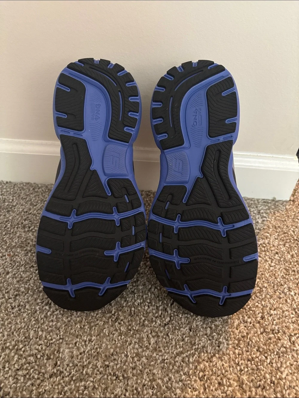 Brooks Ghost 16 (women’s 9.5)